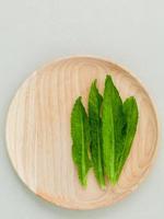 Coriander leaves on a plate photo