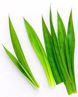 Pandan leaves on white photo