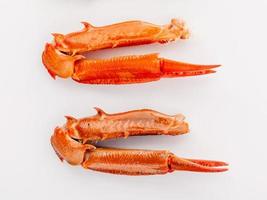 garras de cangrejo en blanco foto