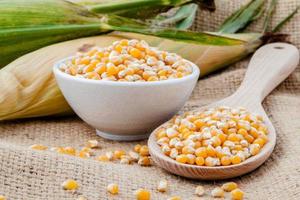 Corn in a bowl and on a spoon photo
