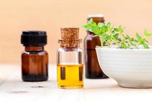 Essential oils and lemon thyme photo