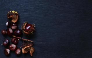 Fresh conkers out of their capsule from a horse chestnut tree on slate background for menus, labels or signs photo