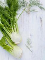 Fresh organic fennel bulbs photo