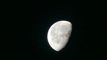 The quarter moon photo