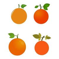 Set Of Oranges vector