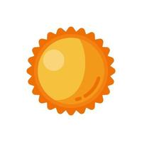 Sun Flat Style Science Icon Symbol vector