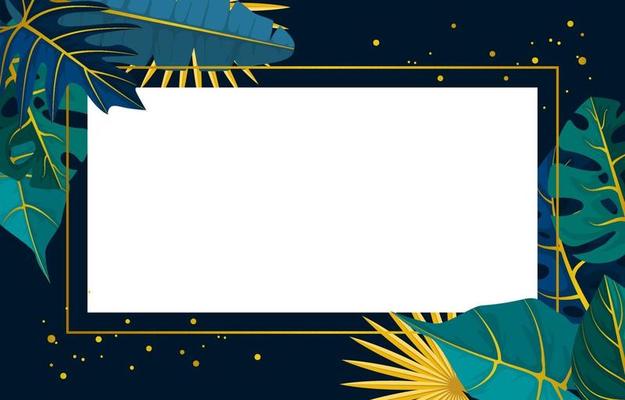 Plant Border Vector Art, Icons, and Graphics for Free Download
