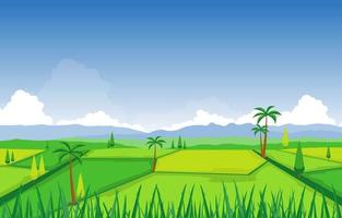 Rice Paddy Field Ready for Harvest Illustration vector