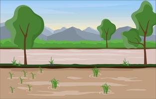 Rice Paddy Field Ready for Harvest Illustration