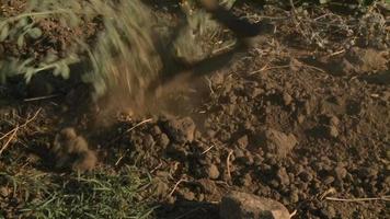 scavando il terreno per l'agricoltura video