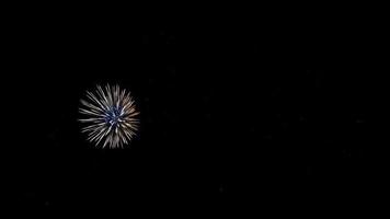 molti fuochi d'artificio colorati lampeggianti in caso incredibile con sfondo nero. video