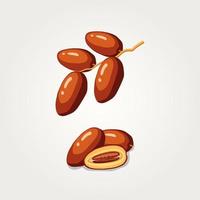 Dates Fruits Food for iftar in Ramadan. flat illustration vector isolated background