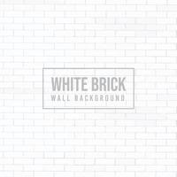 Isolated background white brick wall vector