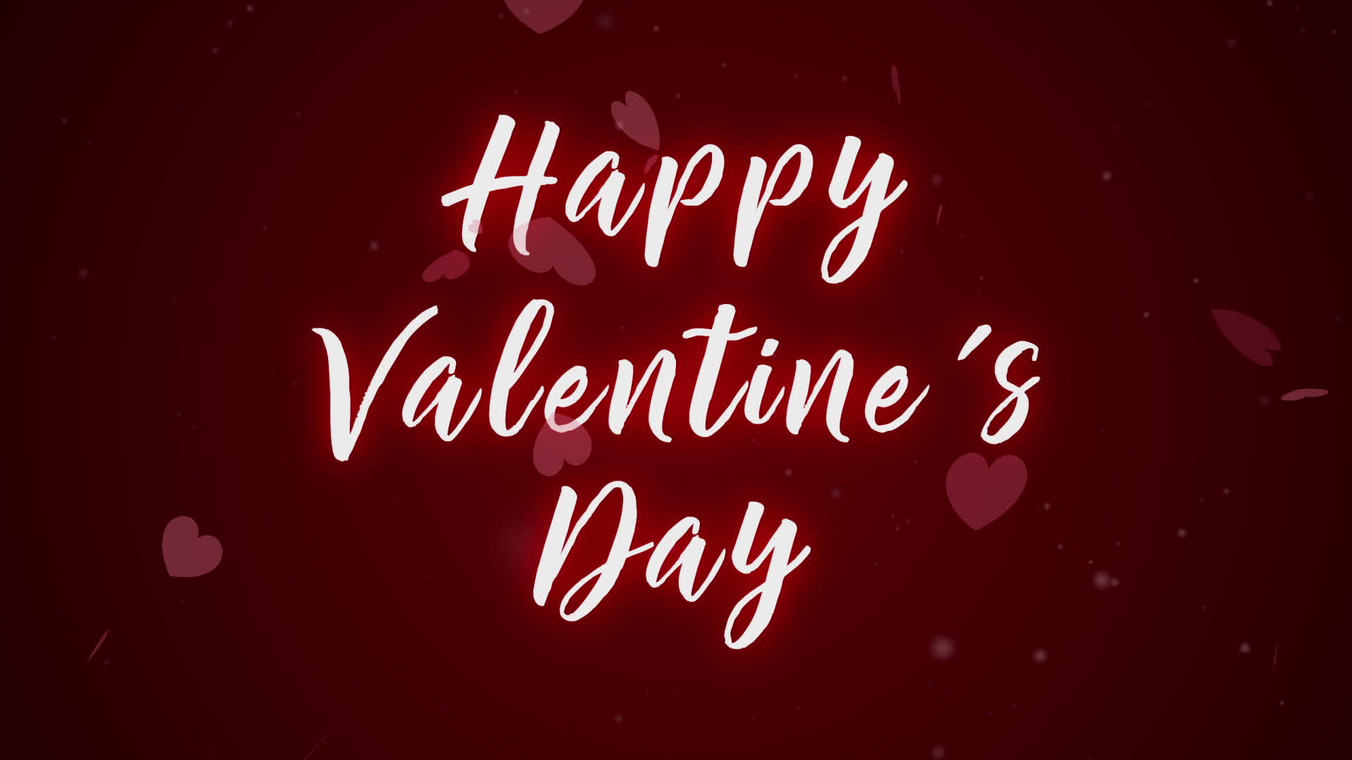 Valentines Day Stock Video Footage for Free Download Valentines Day Stock Video Footage for Free Download