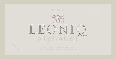 Elegant alphabet letters serif font and number. Classic Lettering Thin Line Minimal Fashion. Typography thin line fonts uppercase, lowercase and numbers. vector illustration