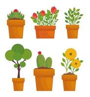 Potted plants set vector