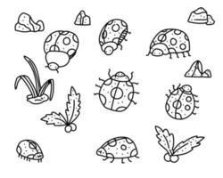 insects doodle set vector illustration