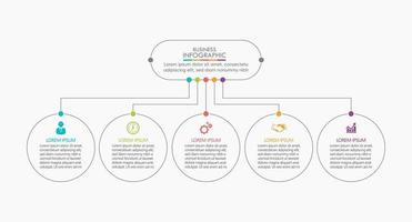 Infographic Thin Line Design Template With 5 Options vector