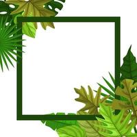 Square Background Template with Tropical Leaf Border vector