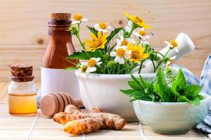 Herbs for aromatherapy photo