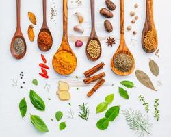 Spices and herbs with wooden spoons photo