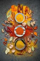 Top view of colorful spices on a gray background photo