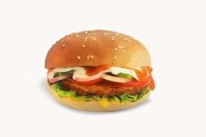 Isolated veggie burger with white background photo