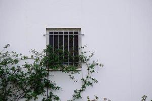 Windows on the white facade of the house in Bilbao city, Spain photo