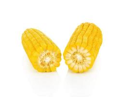 Corn on a white background photo