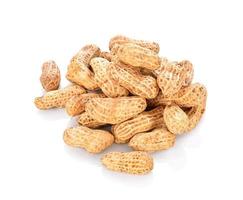 Dried peanuts on a white background photo