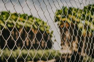 Grey metal fence with green grass field photo