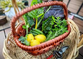 Vegetable harvest in brown woven basket photo