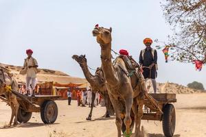 Rajasthan, India 2018- hombres en carruajes en camellos a través de la arena del desierto foto