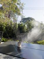 Table of free space with green plant photo