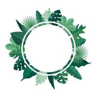 Circular Background Template with Green Tropical Leaves Border Frame vector