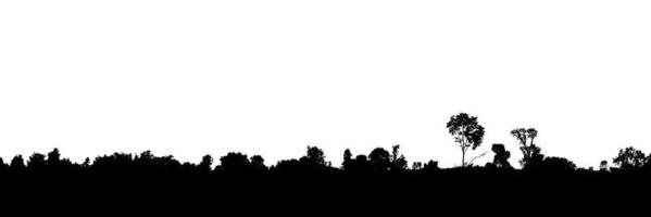 Landscape silhouette of trees on isolated white background photo