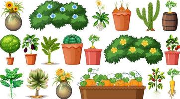 Set of different plants in pots isolated on white background vector