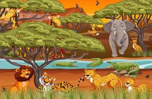 Wild animals in the jungle vector