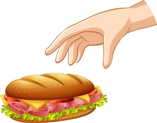 Hand dropping hamburger for gravity experiment