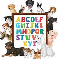 A-Z Alphabet board wih many different types of dogs vector