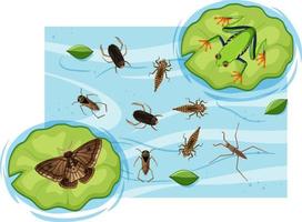 Top view of aquatic insects in the pond vector