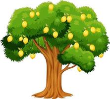 Lemon tree isolated on white background vector