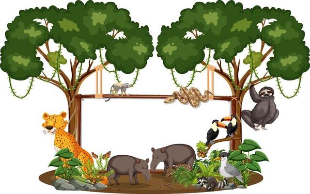 Empty banner with wild animals and rainforest trees on white background