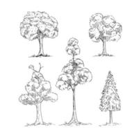 conjunto de vector de árboles, dibujo de árbol blanco y negro