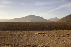 Dali desert in Bolivia photo