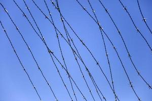 alambre de púas bajo un cielo azul foto