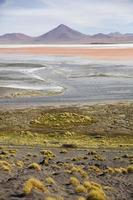 laguna colorada en bolivia