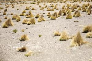 Dali Desert in Bolivia photo