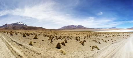 Dali Desert in Bolivia photo