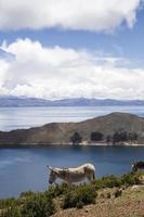 isla del sol en el lago titicaca en bolivia foto